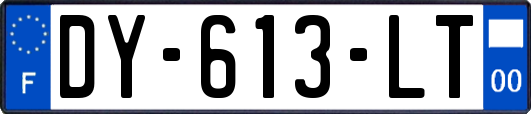 DY-613-LT
