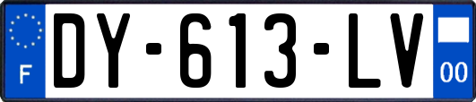 DY-613-LV