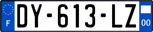 DY-613-LZ