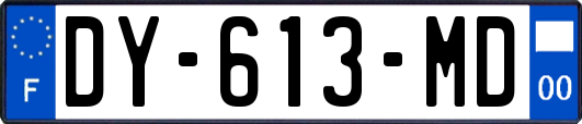 DY-613-MD