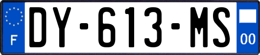 DY-613-MS