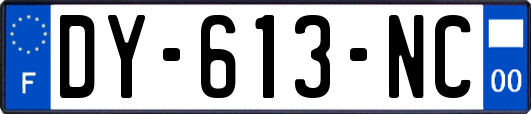 DY-613-NC