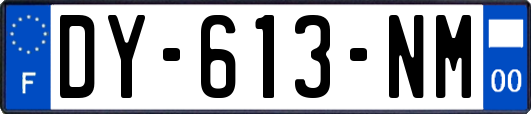 DY-613-NM