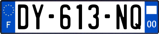 DY-613-NQ