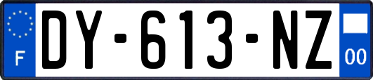DY-613-NZ