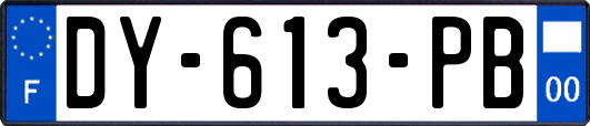 DY-613-PB