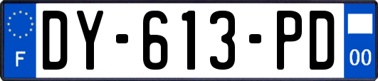 DY-613-PD