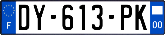 DY-613-PK