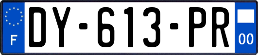DY-613-PR