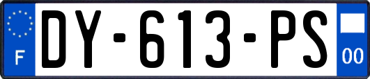 DY-613-PS