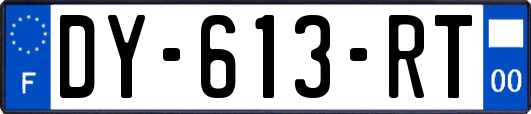 DY-613-RT