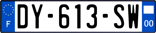 DY-613-SW