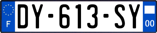 DY-613-SY