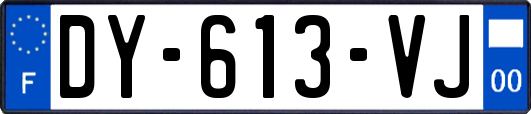 DY-613-VJ