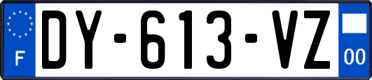 DY-613-VZ