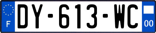 DY-613-WC