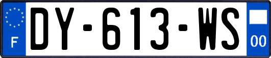 DY-613-WS