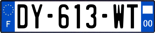 DY-613-WT