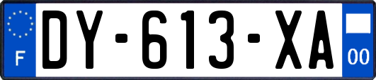 DY-613-XA