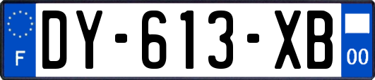 DY-613-XB