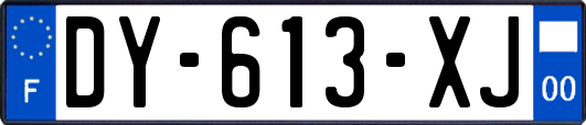 DY-613-XJ