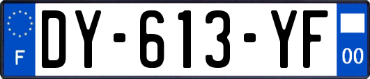 DY-613-YF