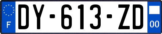 DY-613-ZD