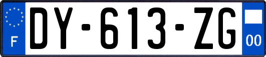 DY-613-ZG