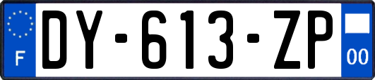 DY-613-ZP