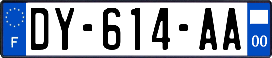 DY-614-AA