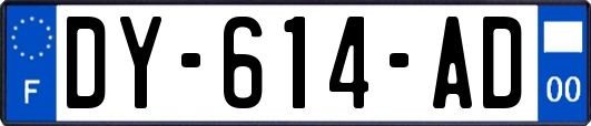 DY-614-AD