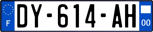 DY-614-AH