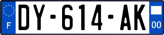 DY-614-AK
