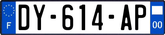 DY-614-AP