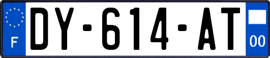 DY-614-AT