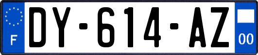 DY-614-AZ