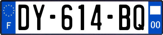 DY-614-BQ