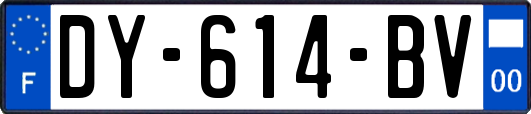 DY-614-BV