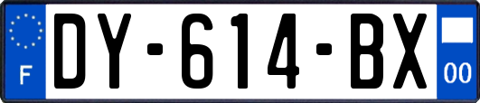DY-614-BX