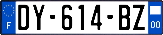 DY-614-BZ