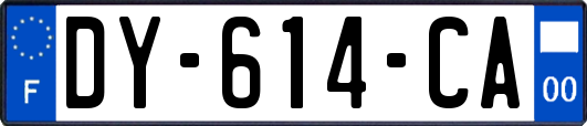 DY-614-CA