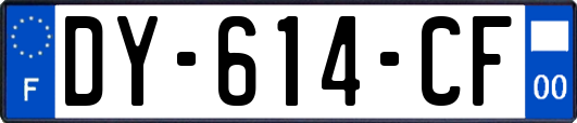 DY-614-CF