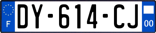 DY-614-CJ
