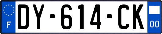 DY-614-CK