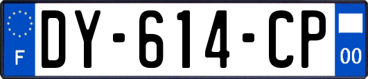 DY-614-CP