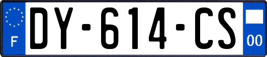 DY-614-CS
