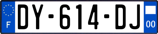 DY-614-DJ