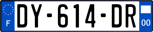 DY-614-DR