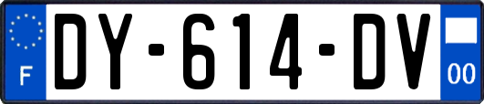 DY-614-DV