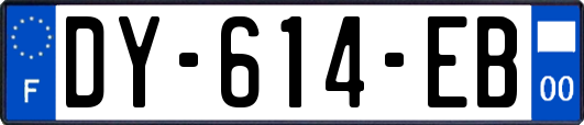 DY-614-EB